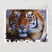 Liebe Sie_ Postkarte (Vorderseite)