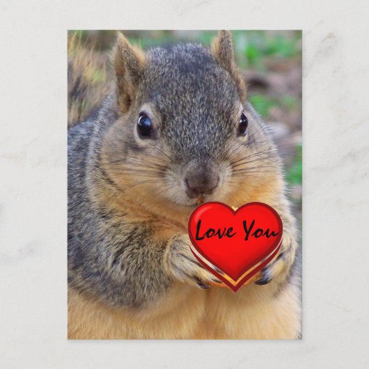 Liebe Sie_ Postkarte (Vorderseite)