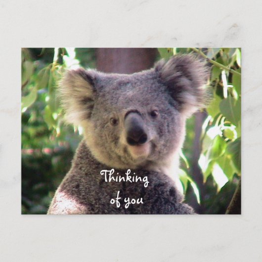 Liebe Sie_ Postkarte (Vorderseite)