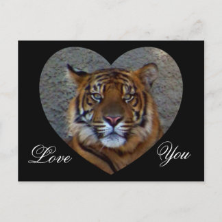 Liebe Sie_ Postkarte