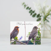 Liebe Sie_ Postkarte (Stehend Vorderseite)