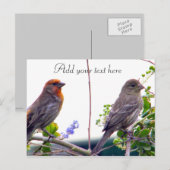 Liebe Sie_ Postkarte (Vorne/Hinten)