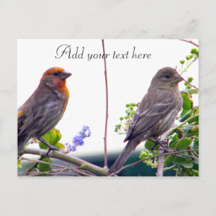 Liebe Sie_ Postkarte