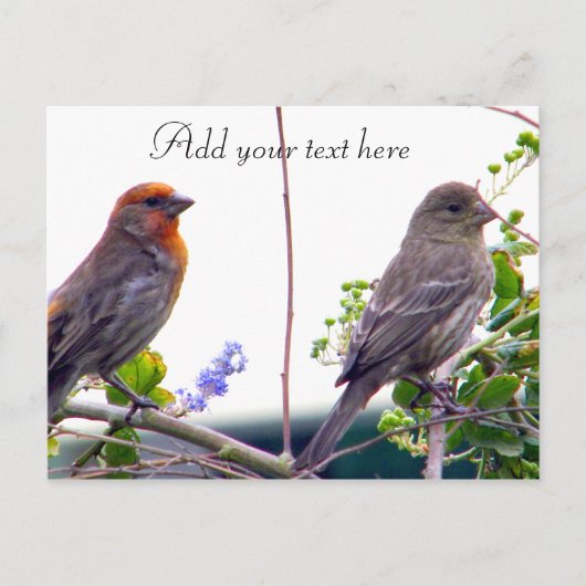 Liebe Sie_ Postkarte (Vorderseite)
