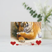 Liebe Sie_ Postkarte (Stehend Vorderseite)