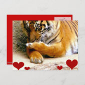 Liebe Sie_ Postkarte (Vorne/Hinten)