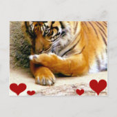 Liebe Sie_ Postkarte (Vorderseite)