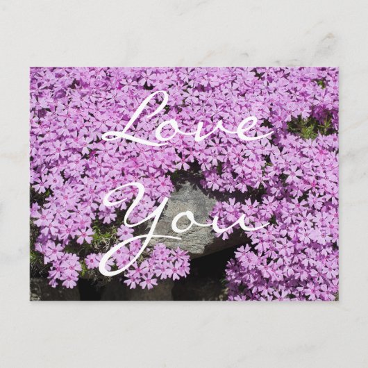 Liebe Sie Postkarte (Vorderseite)