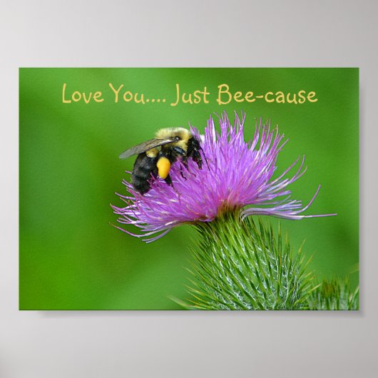 Liebe Sie sind einfach Ursache Poster (Vorne)