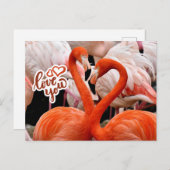 Liebe Sie zwei schöne Flamingo Vögel Postkarte (Vorne/Hinten)