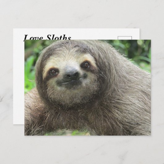 Liebe Sloths Feiertagspostkarte (Vorne/Hinten)
