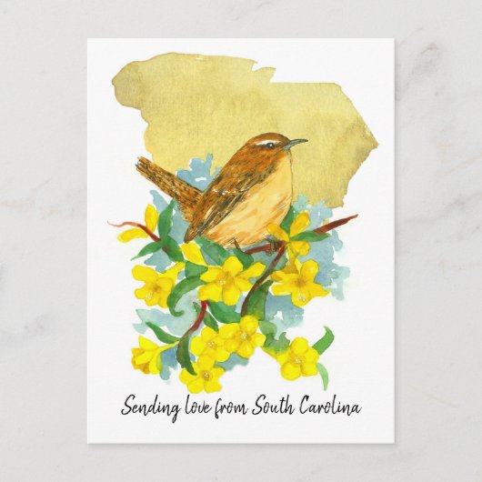 Liebe South Carolina Wren Jessamine senden Postkarte (Vorderseite)
