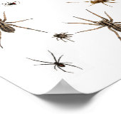 Liebe Spiders! Poster (Ecke)