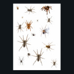 Liebe Spiders! Poster<br><div class="desc">Liebe du Spinnen? Dann ist das für SIE!</div>