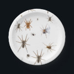 Liebe-Spinnen! Pappteller<br><div class="desc">Tun Sie Liebespinnen?  Dann ist dieses für SIE!</div>