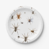 Liebe-Spinnen! Pappteller (Vorderseite)