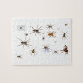 Liebe-Spinnen! Puzzle (Horizontal)