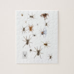 Liebe-Spinnen! Puzzle<br><div class="desc">Tun Sie Liebespinnen?  Dann ist dieses für SIE!</div>