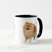 Liebe Spitz Hunde so viel Spaß Quote Tasse (VorderseiteRechts)