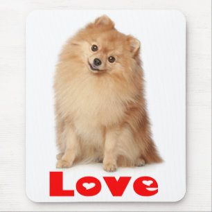 Liebe Spitz Pom Pom Welpen Hund Mousepad