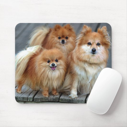 Liebe Spitz Welpen Hund Mousepad (Mit Mouse)