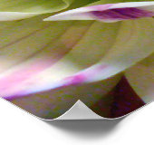 Liebe Spreading_Poster Poster (Ecke)