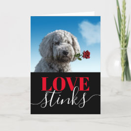 Liebe Stinks Funny Foto Valentinstag Urlaub Ca Feiertagskarte