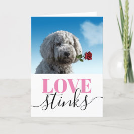 Liebe stinkt Funny Foto Valentinstag Feiertagskarte