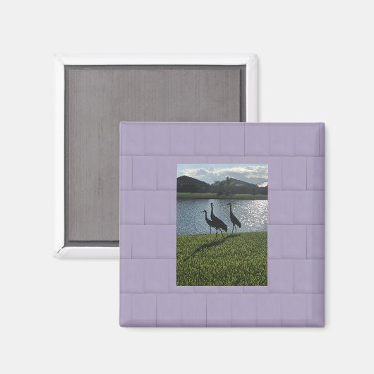 Liebe Storks Magnet (Vorderseite/Rückseite)