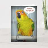 Liebe Sun Conure Feiertagskarte (Vorderseite)