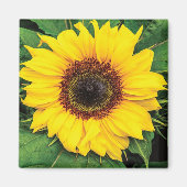 Liebe Sunflowers Magnet (Vorne)