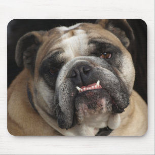 Liebe Süße Englische Bulldogge Welpe Hund Mauspad
