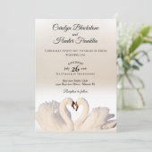 Liebe Swans on White and Cream Wedding Einladung (Stehend Vorderseite)