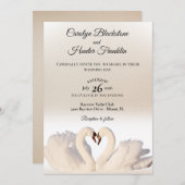 Liebe Swans on White and Cream Wedding Einladung (Vorne/Hinten)