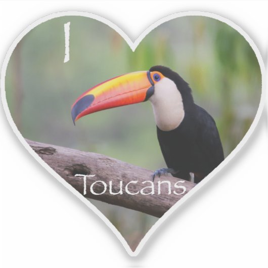 Liebe Toucans Aufkleber (Vorderseite)