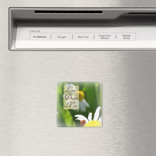 Liebe, Traum, Hoffnung Ladybug Magnet (In Situ (Geschirrspüler))