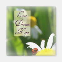 Liebe, Traum, Hoffnung Ladybug Magnet