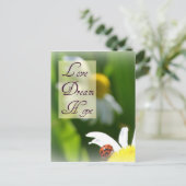Liebe, Traum, Hope Ladybug Post Card Postkarte (Stehend Vorderseite)