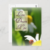 Liebe, Traum, Hope Ladybug Post Card Postkarte (Vorne/Hinten)