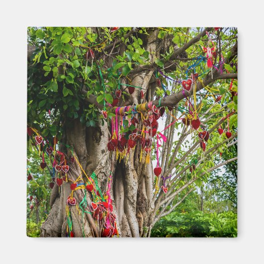 Liebe tree, Zhonghe - Yunnan, China Magnet (Vorne)