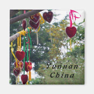 Liebe tree, Zhonghe - Yunnan, China Magnet