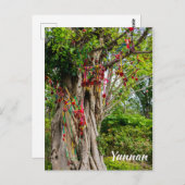 Liebe tree, Zhonghe - Yunnan, China Postkarte (Vorne/Hinten)