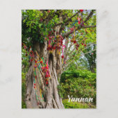 Liebe tree, Zhonghe - Yunnan, China Postkarte (Vorderseite)