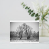 Liebe Trees Postkarte (Stehend Vorderseite)