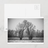 Liebe Trees Postkarte (Vorne/Hinten)