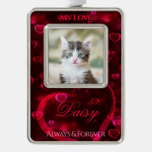 Liebe-Tribut oder Gedenkstätte, rote leuchtende He Rahmen-Ornament Silber (Vorderseite)