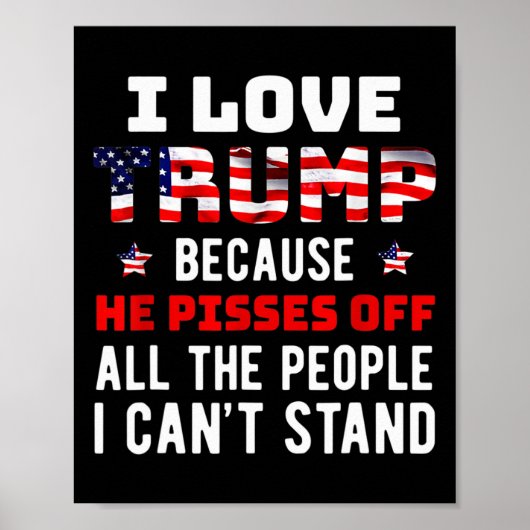 Liebe Trump, weil er die Leute, die ich kann, verä Poster (Vorne)