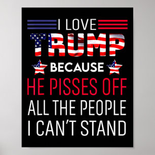 Liebe Trump, weil er die Leute, die ich kann, verä Poster