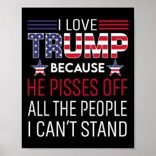 Liebe Trump, weil er die Leute, die ich kann, verä Poster
