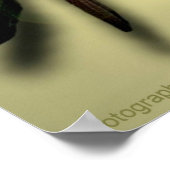 Liebe und Einhaltung von Zitaten Poster (Ecke)